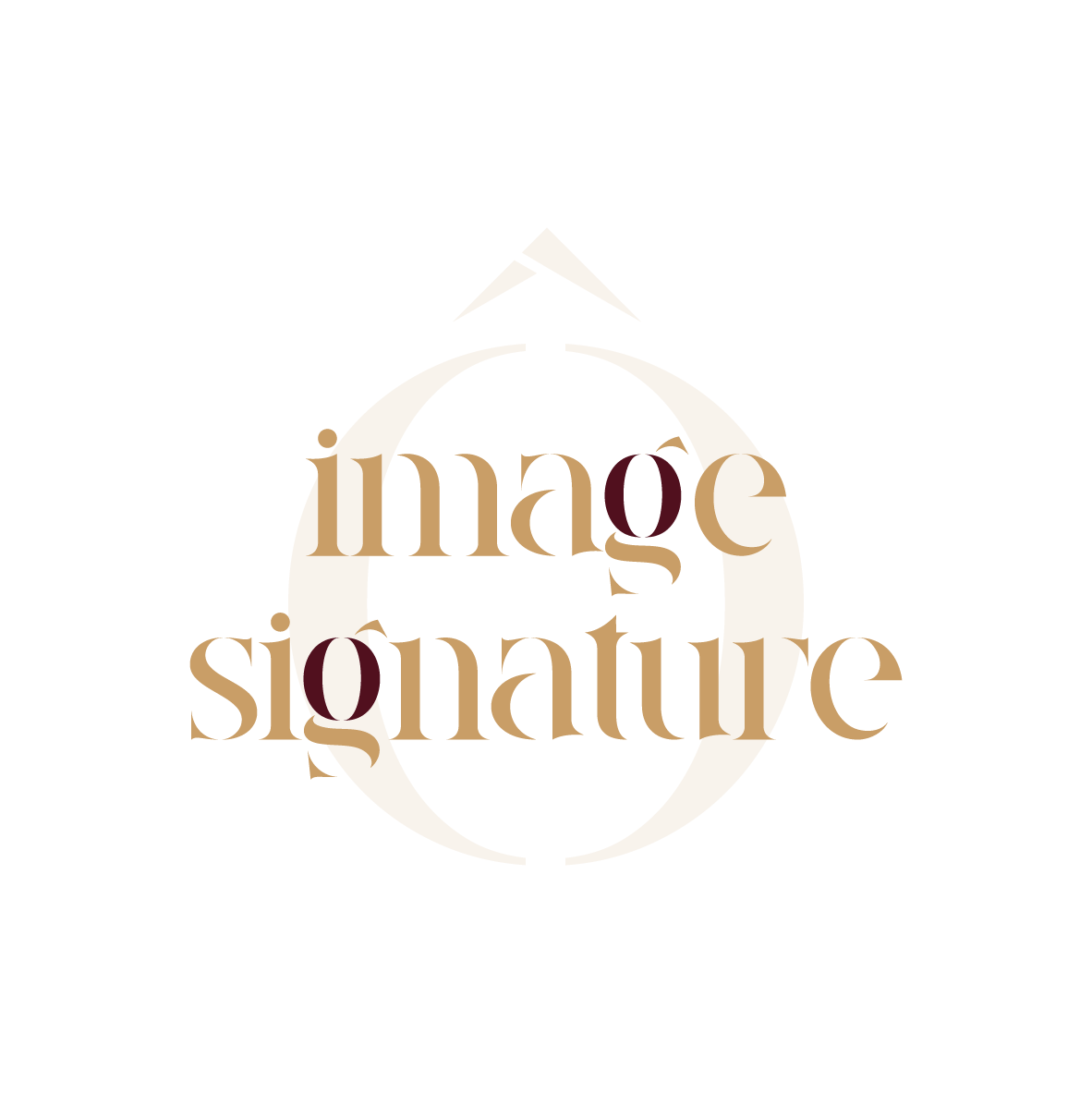 conseil en image homme lyon